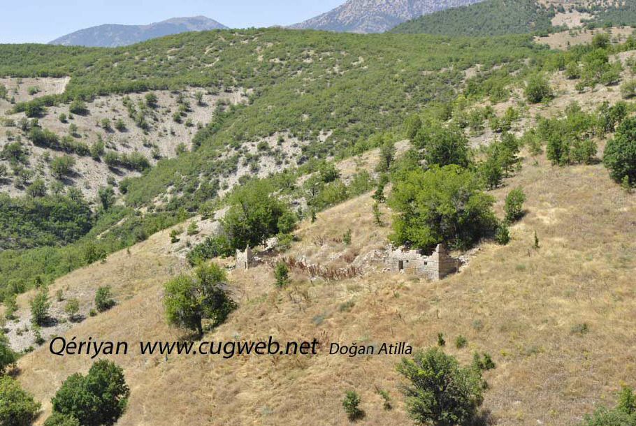 16 qeriyanweb.jpg